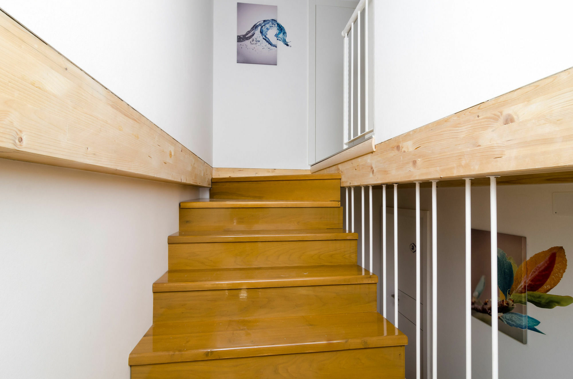 Lavender Garden Apartments Dubrovnik Ngoại thất bức ảnh